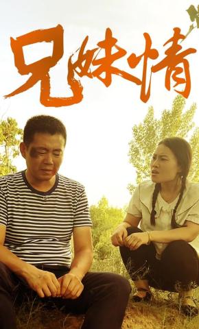 短剧《兄妹情》海报