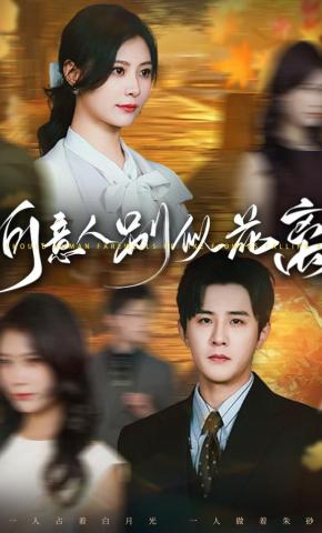 短剧《何意人别似花离》海报