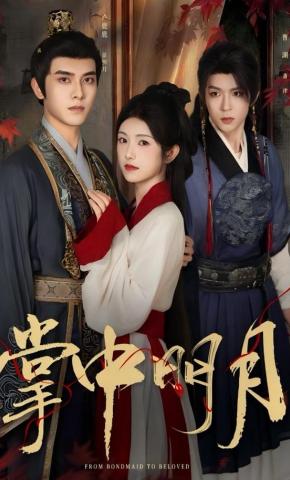 短剧《掌中明月》海报