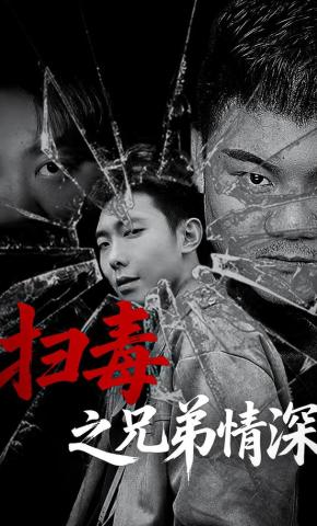 短剧扫毒之兄弟情深海报