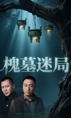 短剧《槐墓迷局》海报