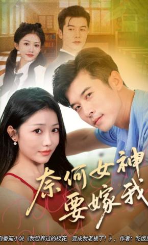 短剧奈何女神要嫁我海报