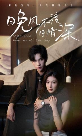 短剧晚风不渡旧情深海报