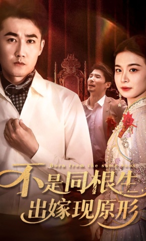 短剧《不是同根生，出嫁现原形》海报