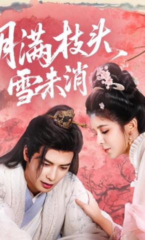 短剧月满枝头雪未消海报