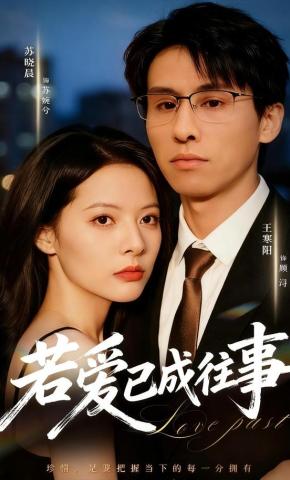 短剧《若爱已成往事》海报