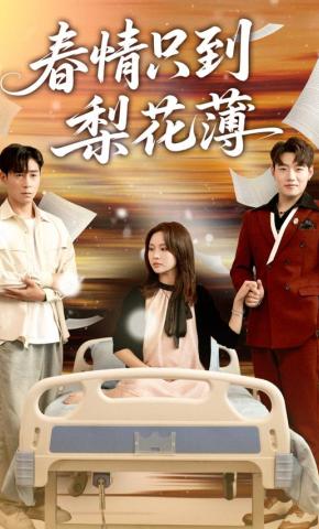 短剧《春情只到梨花薄》海报