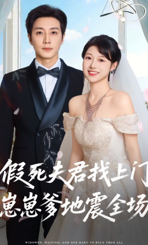 短剧假死夫君找上门，崽崽爹地震全场海报