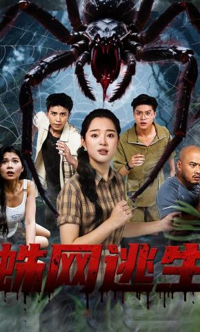 短剧《蛛网逃生》海报