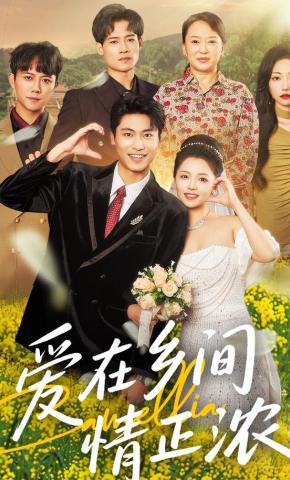 短剧爱在乡间情正浓海报