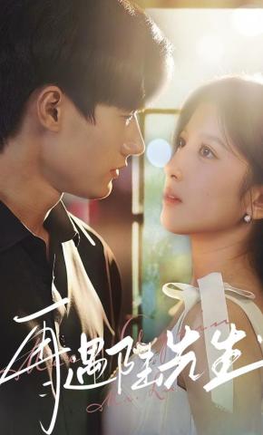 短剧再遇陆先生海报