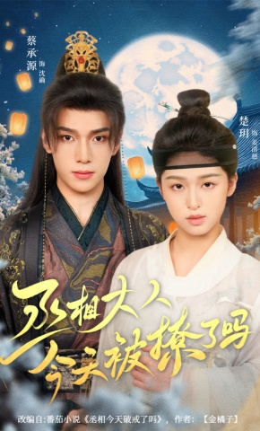 短剧《丞相大人今天被撩了吗》海报