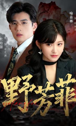 短剧《野芳菲》海报