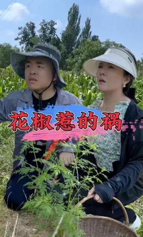 短剧花椒惹的祸海报