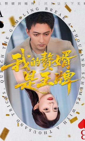 短剧《我的赘婿是王牌》海报