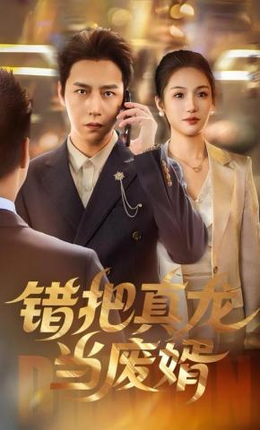 短剧错把真龙当废婿海报