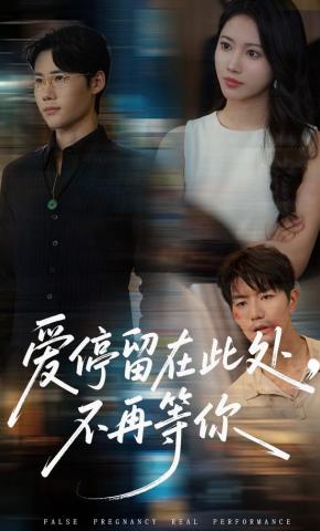 短剧《爱停留在此处，不再等你》海报