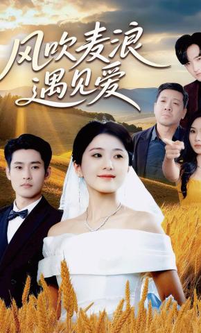 短剧《风吹麦浪遇见爱》海报