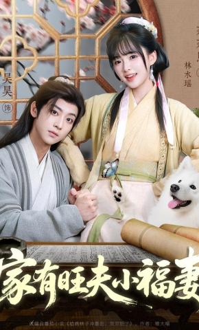 短剧《家有旺夫小福妻》海报