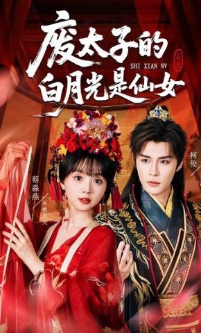 短剧《废太子的白月光是仙女》海报