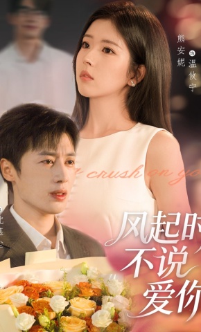 短剧《风起时不说爱你》海报