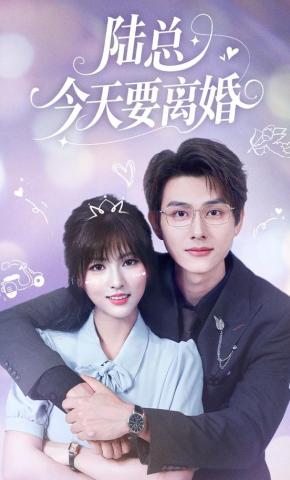 短剧《陆总今天要离婚》海报