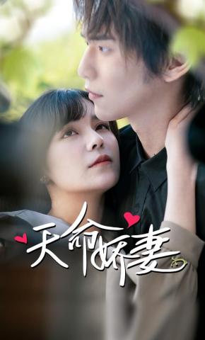 短剧天命娇妻海报