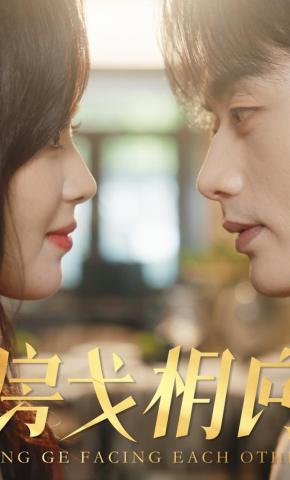 短剧《房戈相向》海报