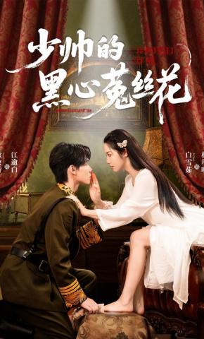 短剧《少帅的黑心菟丝花》海报