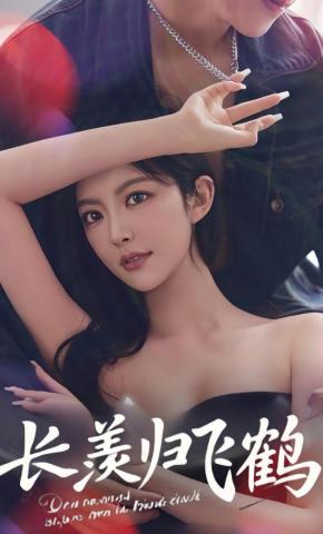 短剧《长羡归飞鹤》海报