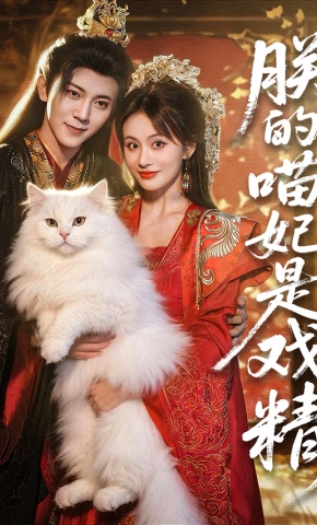 短剧《朕的喵妃是戏精》海报