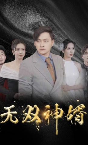 短剧《无双神婿》海报