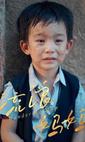 短剧《流浪妈妈》海报