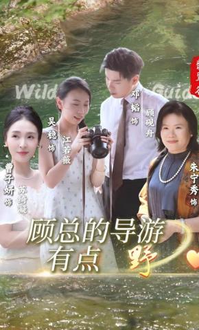 短剧顾总的导游有点野海报