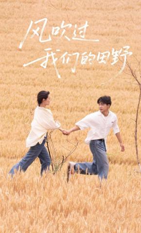 短剧《风吹过我们的田野》海报