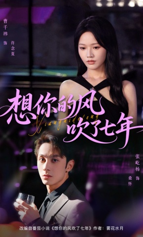 短剧《想你的风吹了七年》海报
