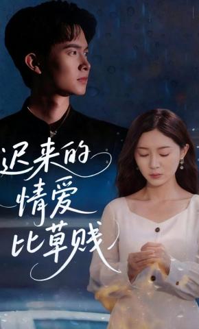 短剧《迟来的情爱比草贱》海报