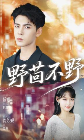 短剧《野茴不野》海报