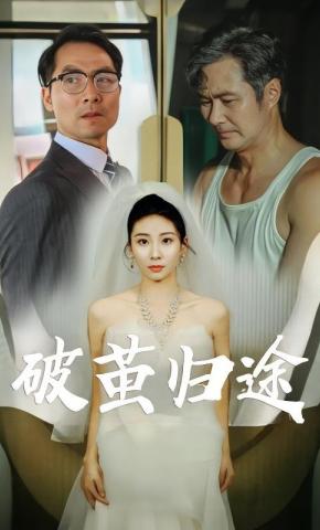 短剧《破茧归途》海报