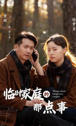短剧《临时家庭的那点事》海报