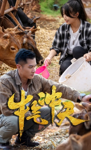 短剧《牛气冲天》海报