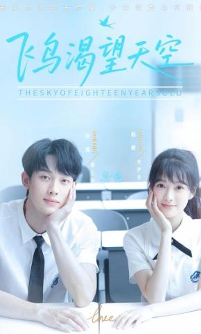 短剧《飞鸟渴望天空》海报