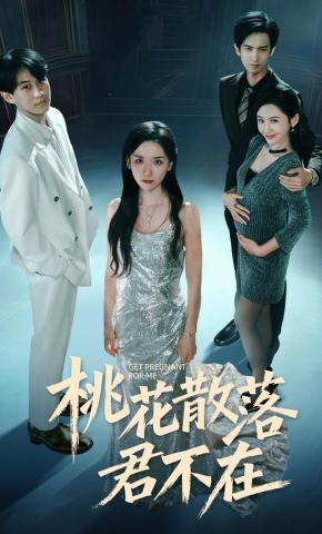 短剧桃花散落君不在海报