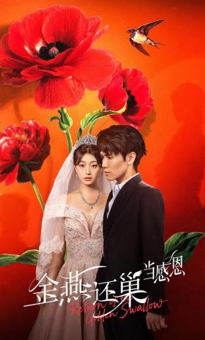 短剧《金燕还巢当感恩》海报