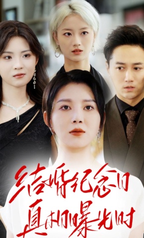 短剧《结婚纪念日真相曝光时》海报