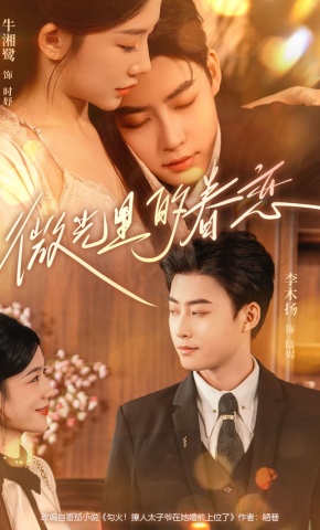 短剧微光里的眷恋海报