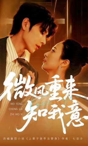短剧微风重来知我意海报