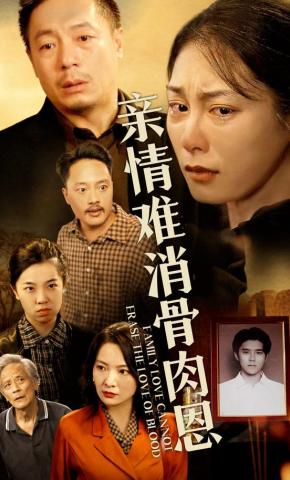 短剧《亲情难消骨肉恩》海报