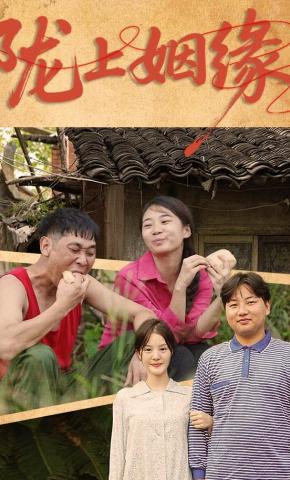 短剧陇上姻缘海报