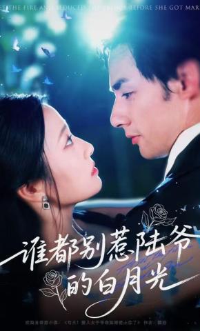 短剧《谁都别惹陆爷的白月光》海报